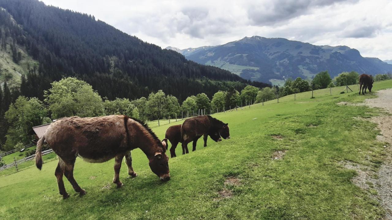 Privatzimmervermietung Foidlbauer Bed and Breakfast Oberndorf in Tirol Exteriör bild